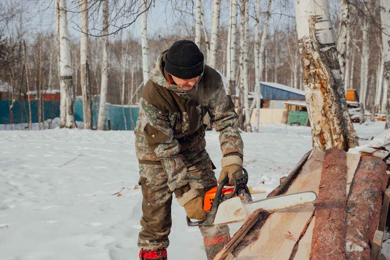 The Steps Involved in Our Tree Care Process in Columbus, GA